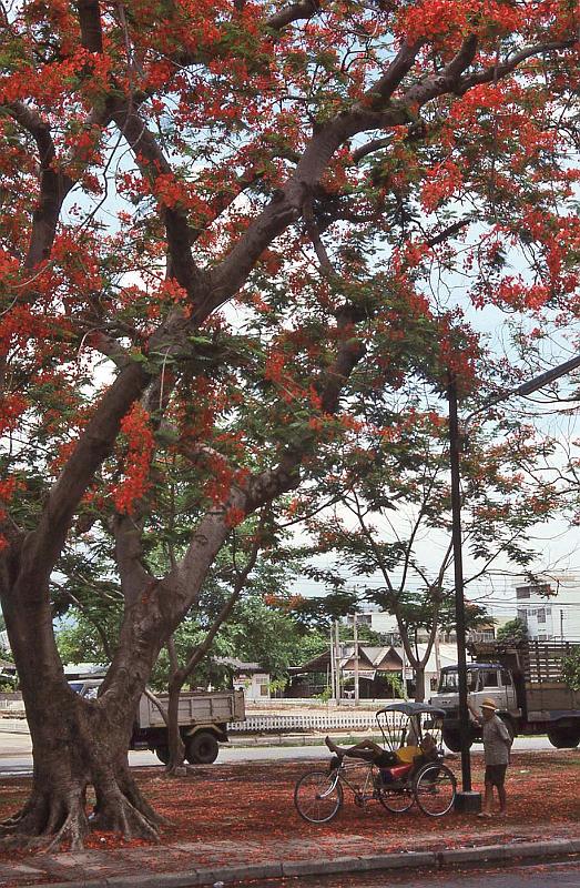 WT 0800 127-14 Thailand.jpg